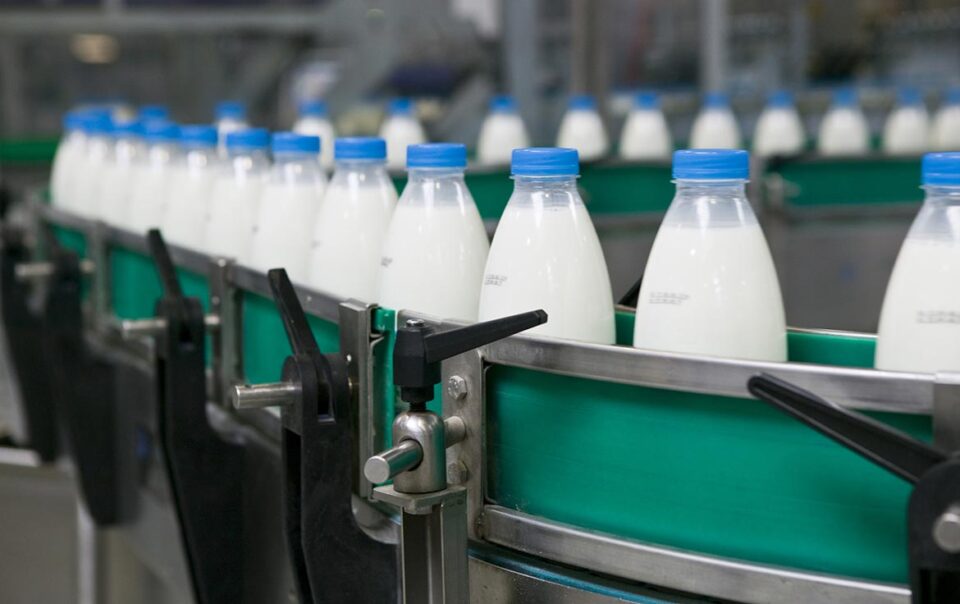 Pea Milk Hits US Supermarkets, Threatening Dairy Industry